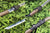 Handmade Manganese steel Chinese Sword With Brown Sheath#1314